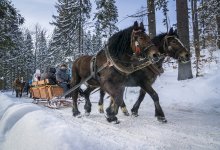 A Sleigh ride in Kubalonka